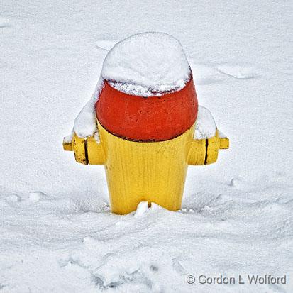 Snow-Capped Hydrant_DSCF03844.jpg - Photographed at Smiths Falls, Ontario, Canada.